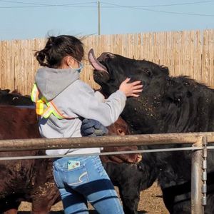 Meet your Posher, Jaime